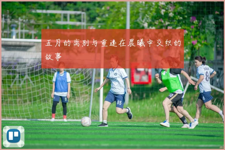 五月的离别与重逢在晨曦中交织的故事
