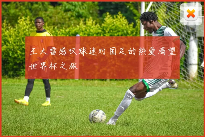 王大雷感叹球迷对国足的热爱渴望世界杯之旅